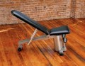 Vectra Vector Incline/Decline Bench (Sterling Silver Frame/Black Upholstery)